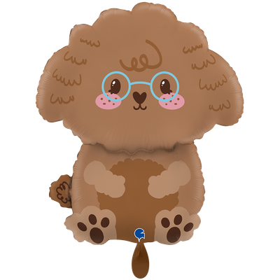 XXL - Cute Toy Poodle