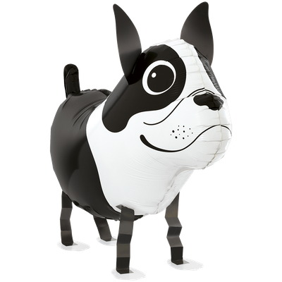 Balloon Friends - Boston Terrier
