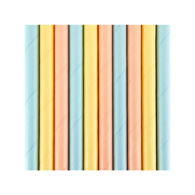 10 Papierstrohhalme - Bunt Pastell - 10 Stück