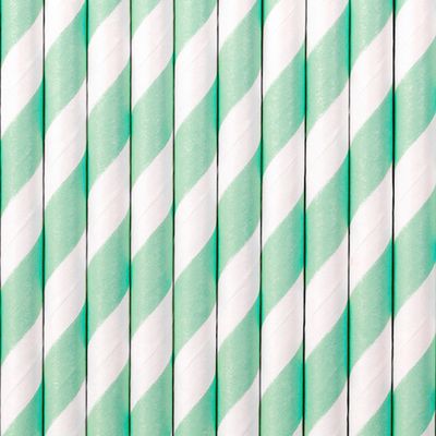 10 Papierstrohhalme - Mix Mint - 10 Stück