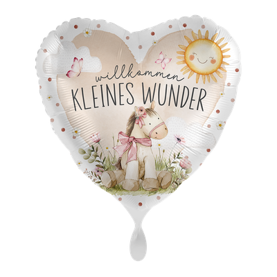 Willkommen kleines Wunder - GER