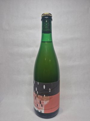 Donder - Ziggy Sitar Dust Raga Geuze | 75cl
