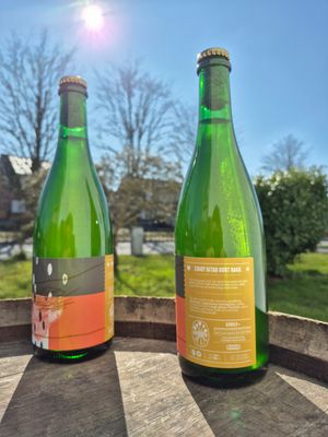 Donder - Ziggy Sitar Dust Raga Geuze | 75cl