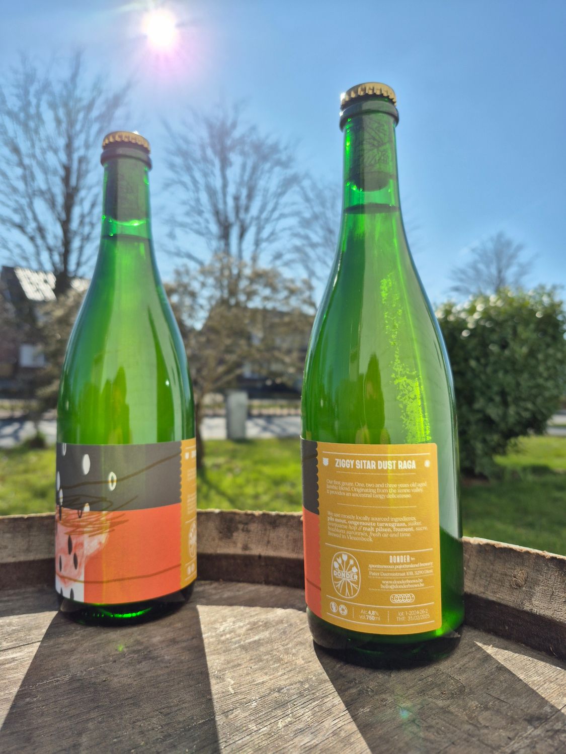 Donder - Ziggy Sitar Dust Raga Geuze | 75cl