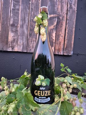 Oud Beersel Talus Geuze Dry-Hopped | 75cl