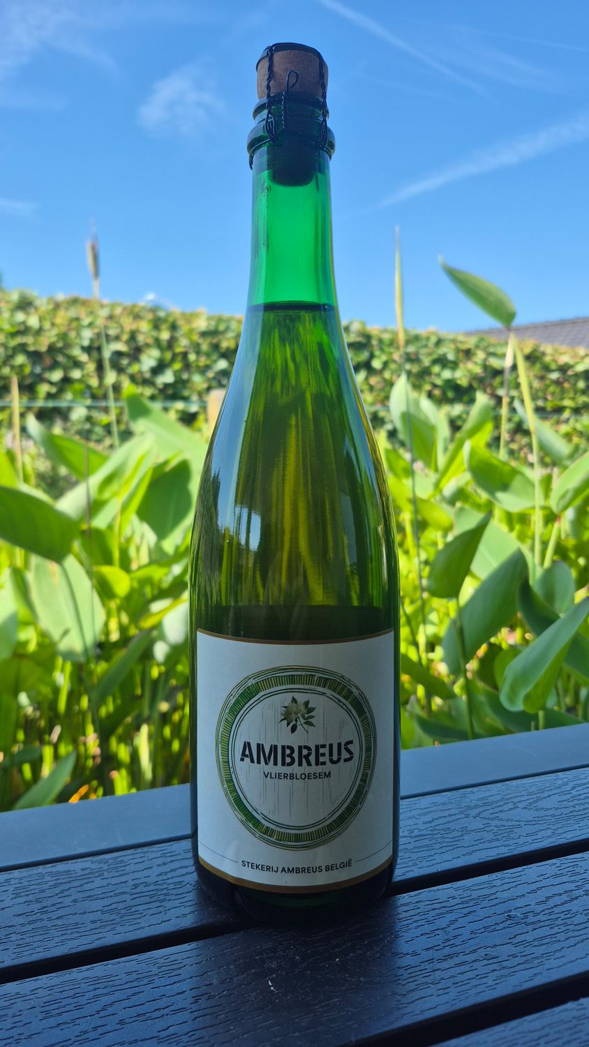 Ambreus Vlierbloesem | 75cl