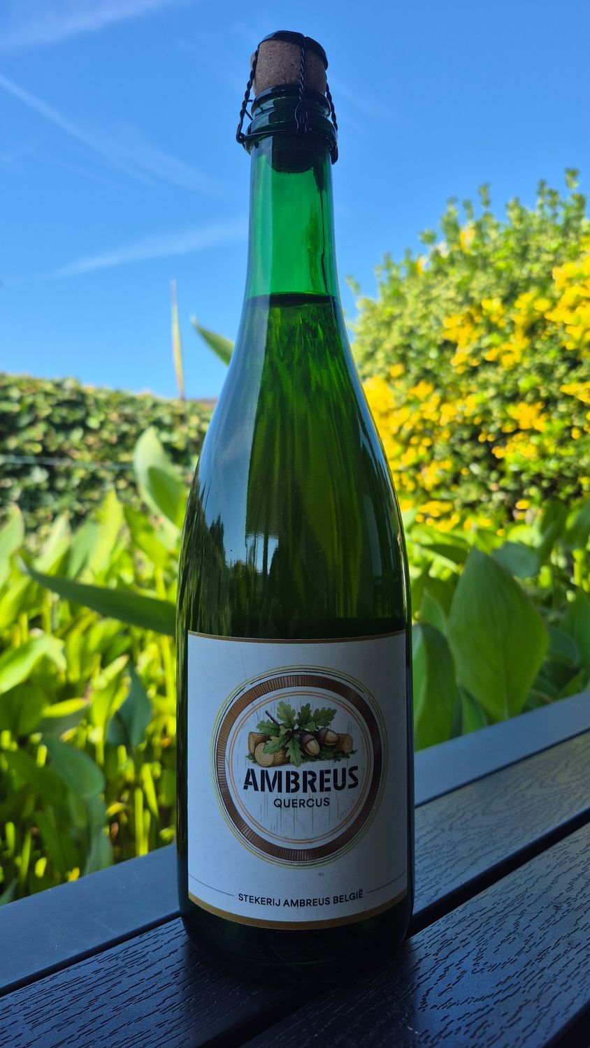 Ambreus Quercus | 75cl