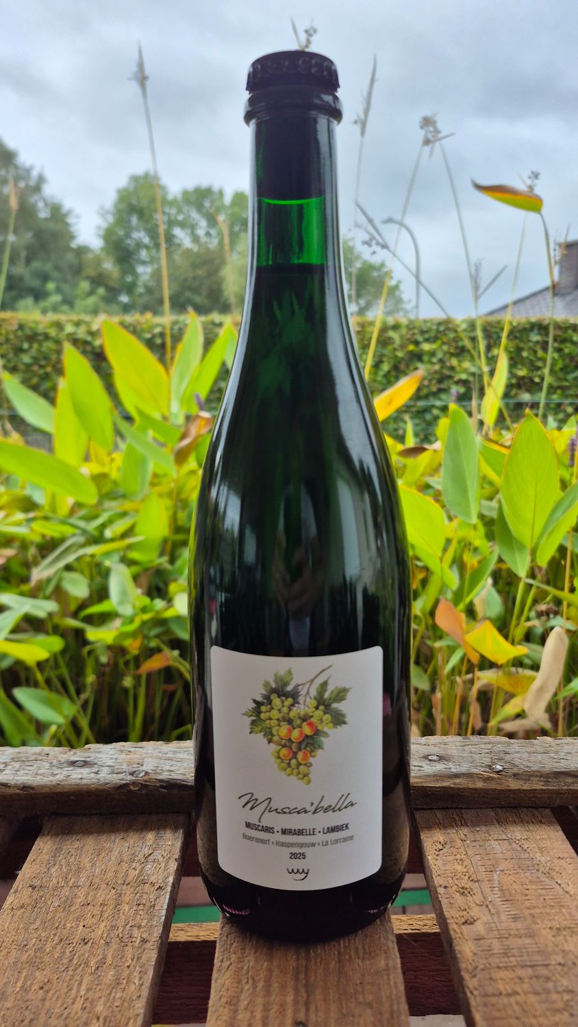 Boerenerf Muscabella | 75cl