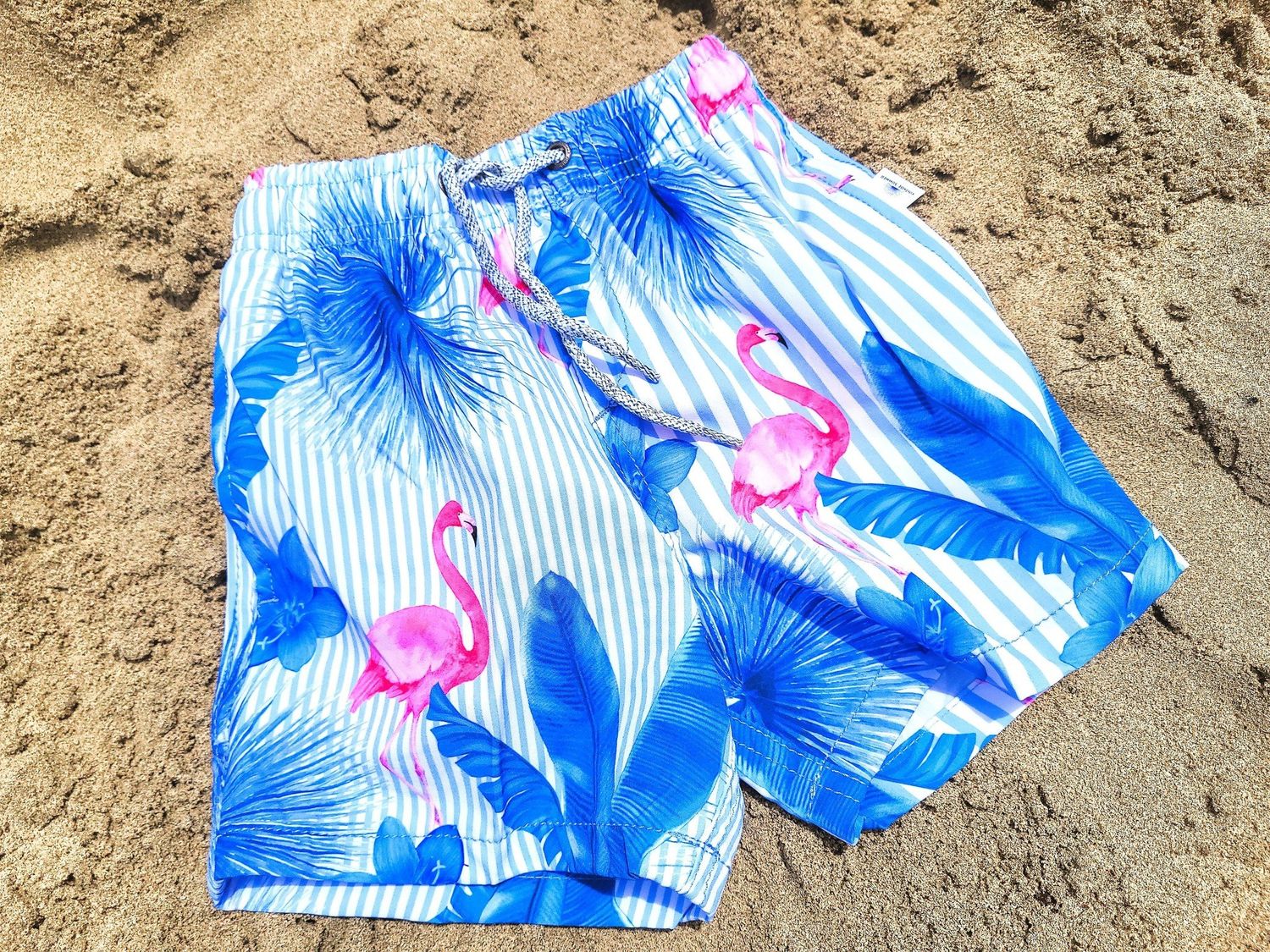 VS Boys Swim Shorts - Striped Flamingo