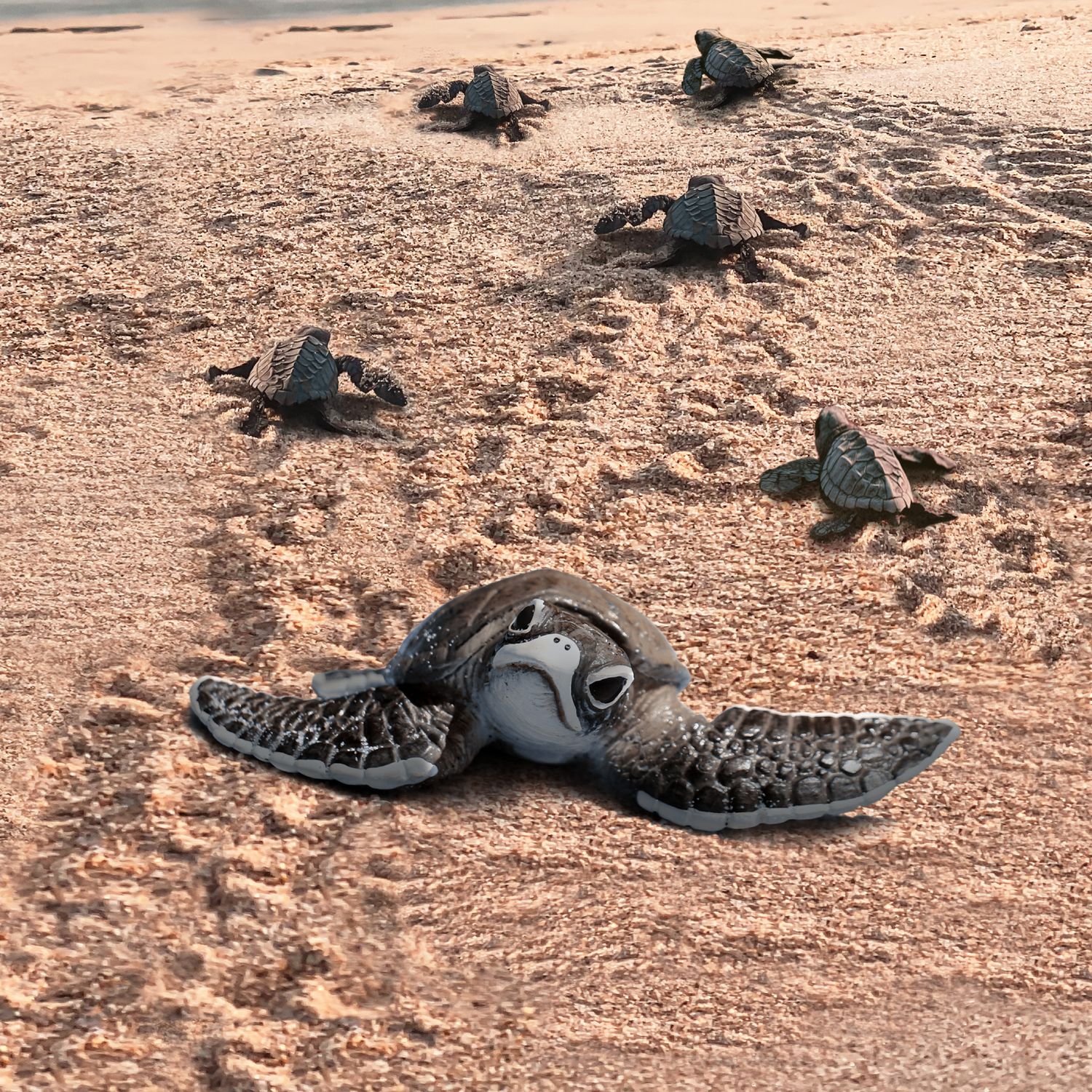 FOTP Baby Turtles Towel/Beach Blanket