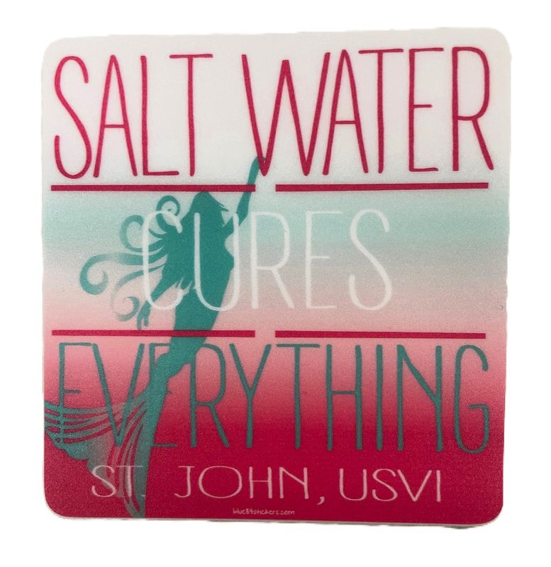 Saltwater Cures Everything - STJ