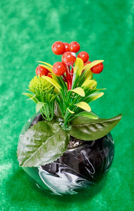 Plantje