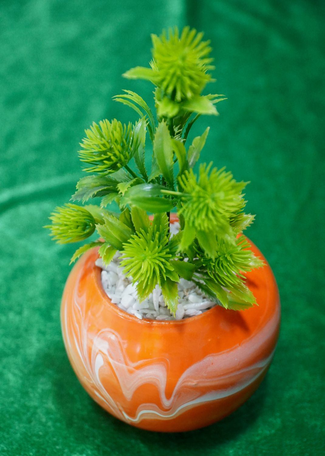 plantje