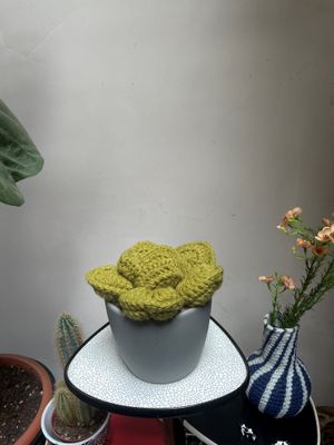 Ello gehaakte vetplant