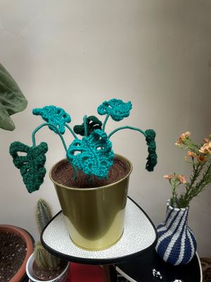 Ello gehaakte monstera