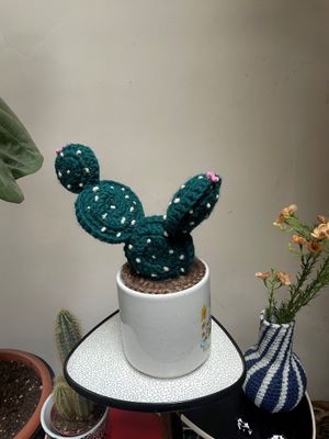 Ello gehaakte vijgcactus groot