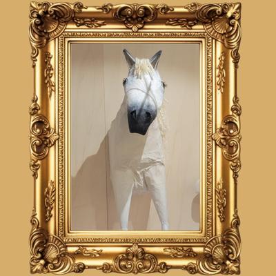 HORSE CATEGORY (tweedehands)