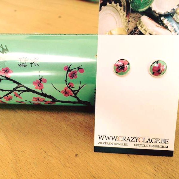 Crazyclage zilveren oorstekers Arizona blik