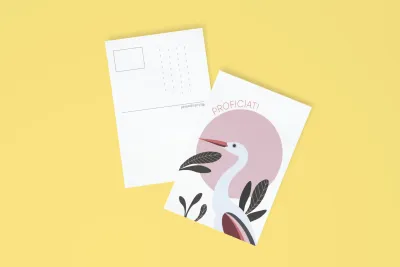 Postkaart - Ooievaar | Studio Parkiet