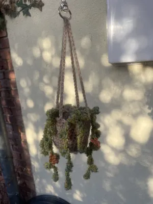 Ello gehaakt hangplantje