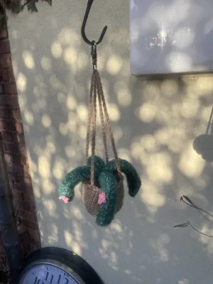 Ello gehaakt hangplantje Ello gehaakt hangplantje