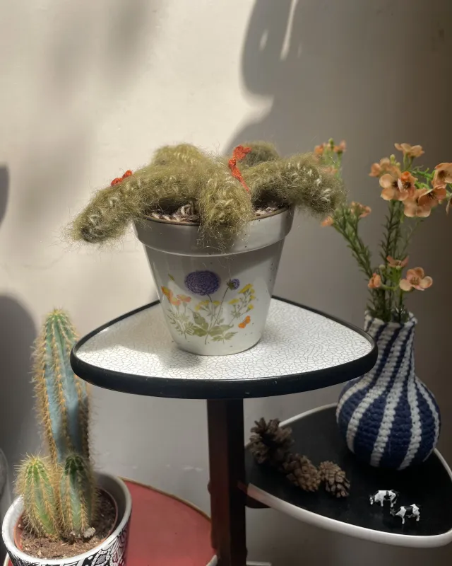 Ello gehaakte apenstaartcactus klein Ello gehaakte apenstaartcactus klein