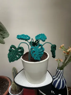 Ello gehaakte monstera