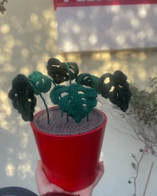 Ello gehaakte monstera Ello gehaakte monstera