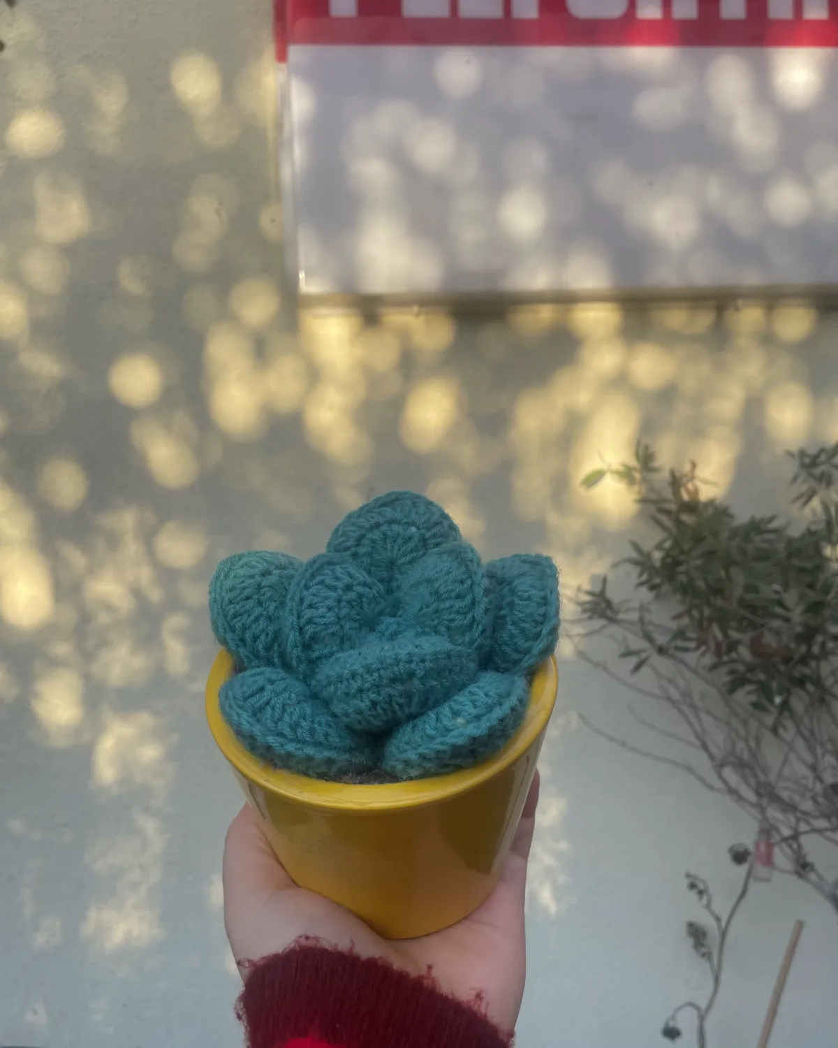 Ello gehaakte vetplant Ello gehaakte vetplant