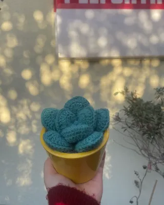 Ello gehaakte vetplant Ello gehaakte vetplant