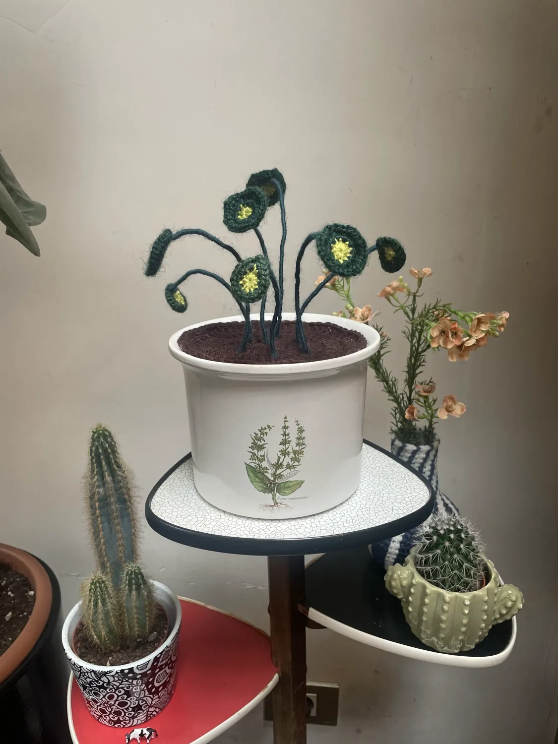 Ello gehaakte pannenkoekplant