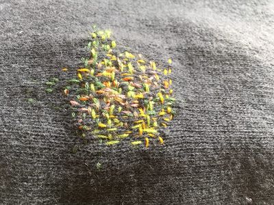 Workshop STOP de gaten! herstellen met visible mending vr 25/09/2026