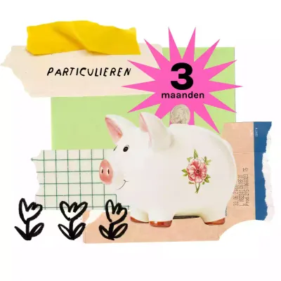 lidmaatschap particulier 3 maanden