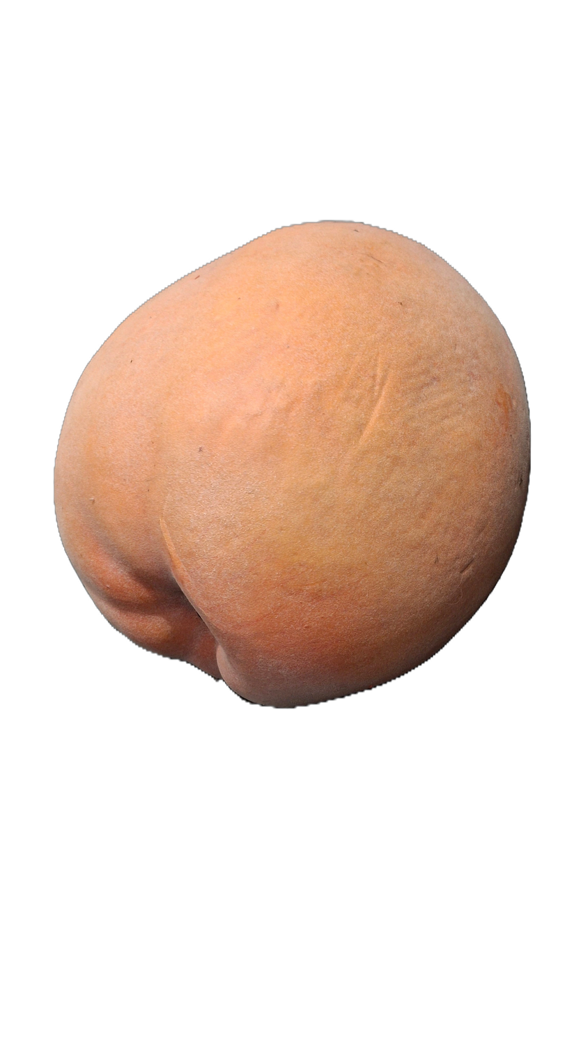 Reuzenperzik