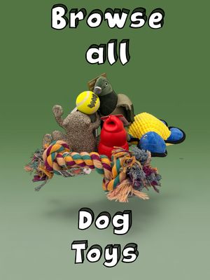 Dog Toys