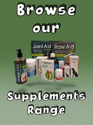 Supplements for Dogs
