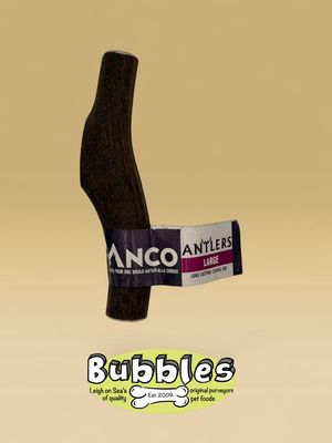 Anco Antlers (Large) (1pc)