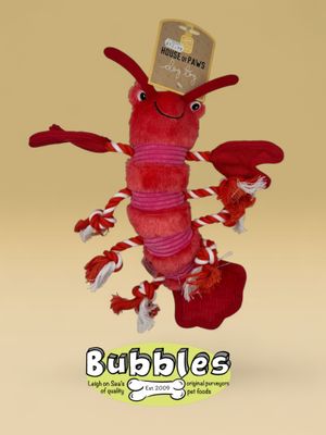 House of Paws Under the Sea Lobster
