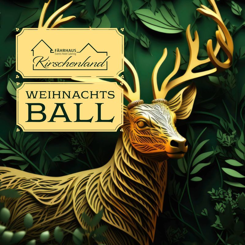 Weihnachts-Ball 2025