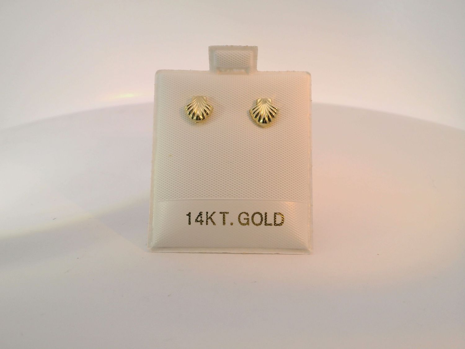 14K Gold Seashell Stud Earrings