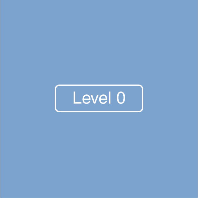 Level 0