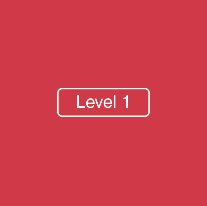 Level 1