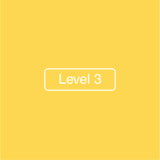 Level 3