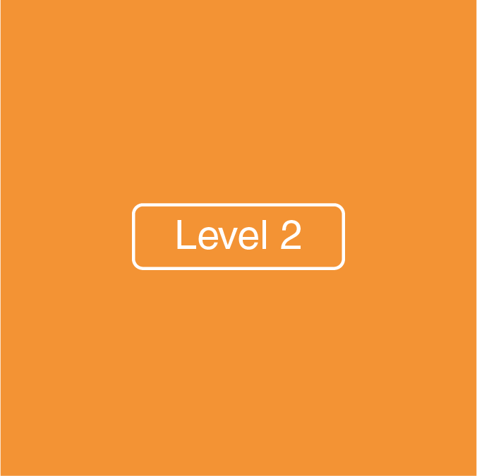 Level 2