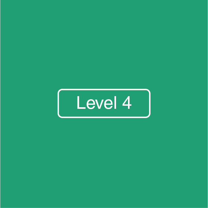 Level 4