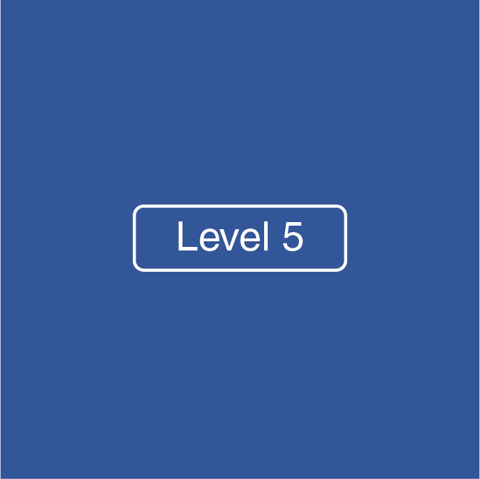 Level 5