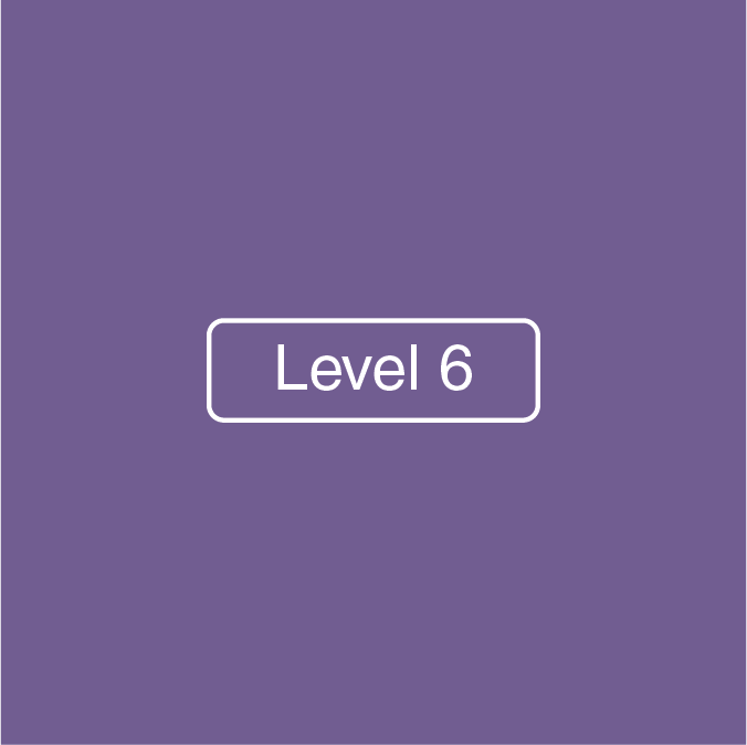 Level 6