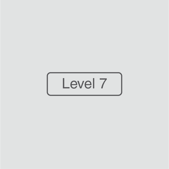 Level 7