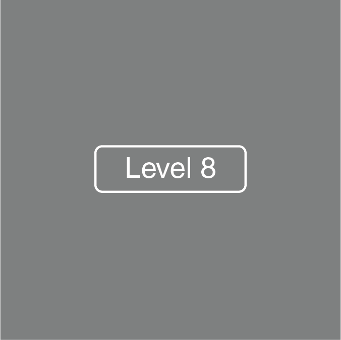 Level 8
