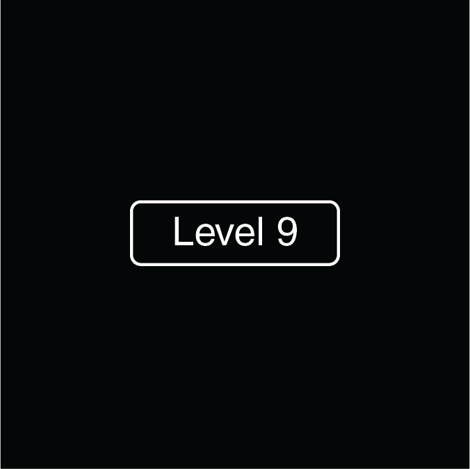 Level 9